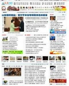 国产传媒黄网站在线观看,在线观看背后的真相与挑战