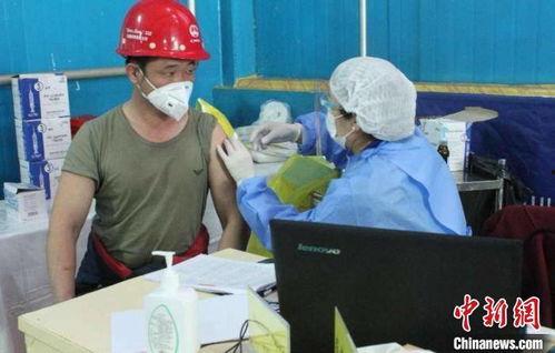 在线屎尿国产资源,探索屎尿文化的独特魅力