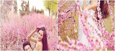 国产电影樱花在线观看,国产电影在线观影指南