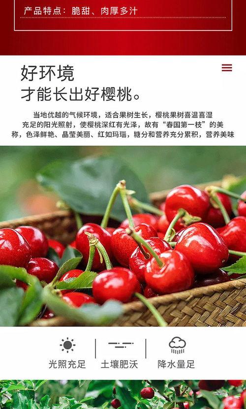 樱桃国产在线网站