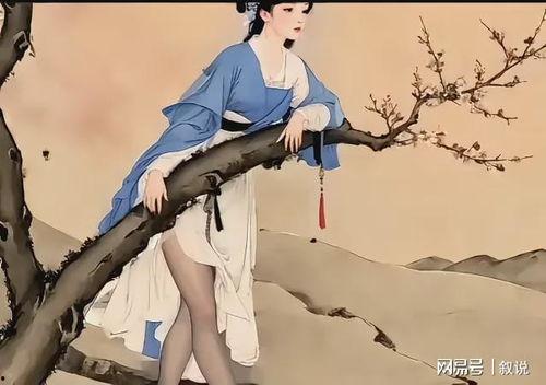 在线观看丝袜中出国产,网络观看背后的跨国情感之旅