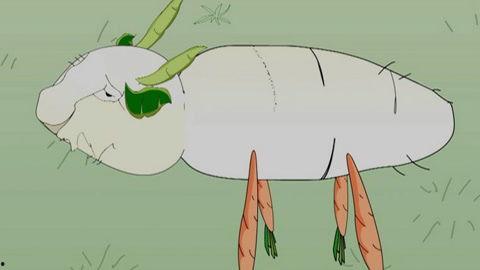 国产动漫胡萝卜在线观看,国产动漫在线观看指南